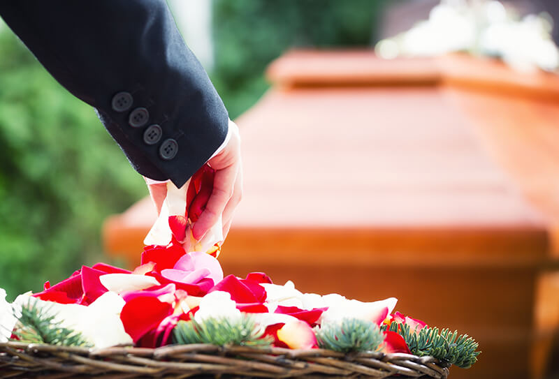 Idée cadeau pour grands-parents bricoleurs : l'étagère / cercueil à monter  soi-même. - Le Blog de Mauro