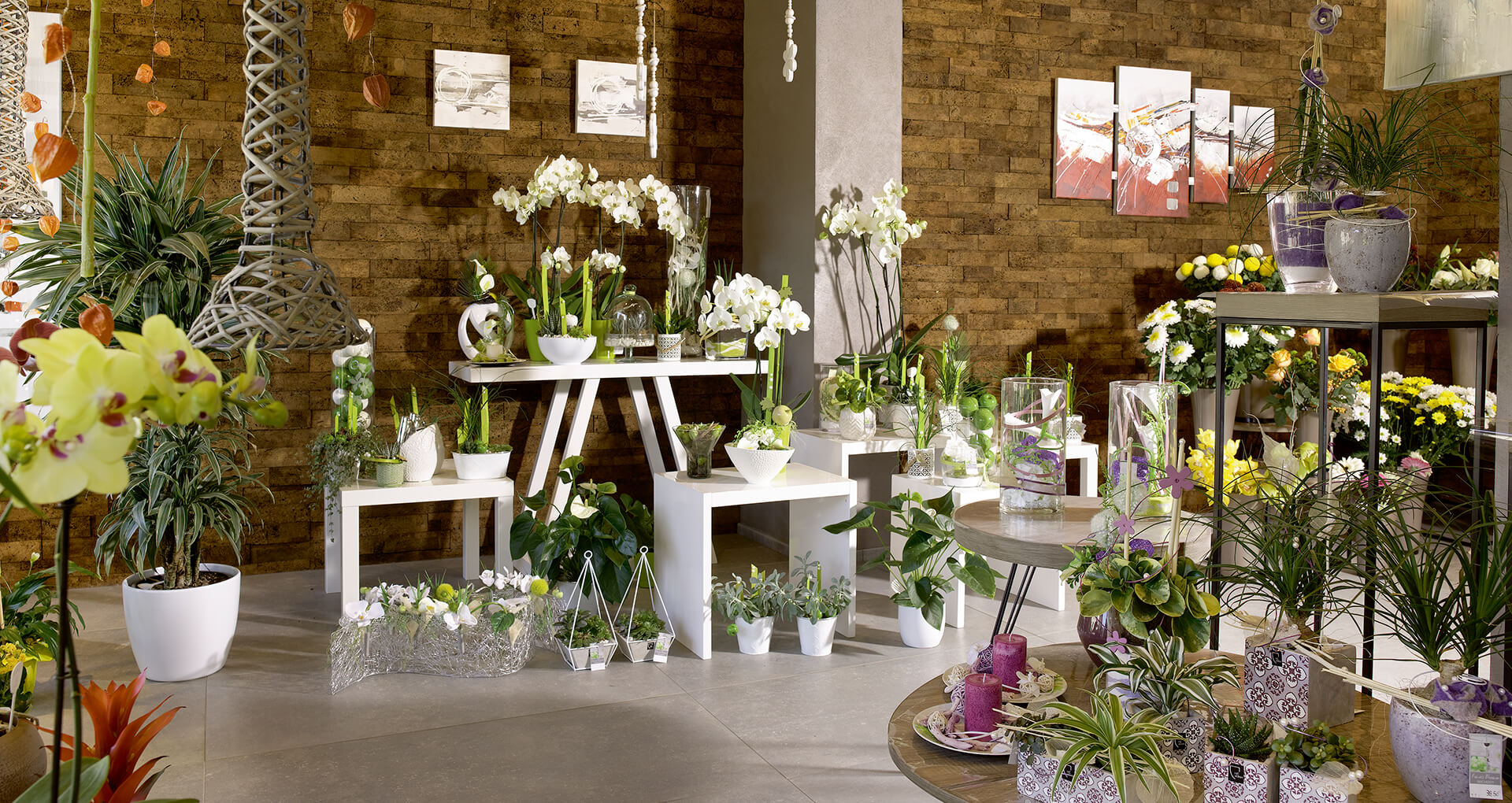 Maison Wilhelm - Bouquets, Arrangements et Plantes