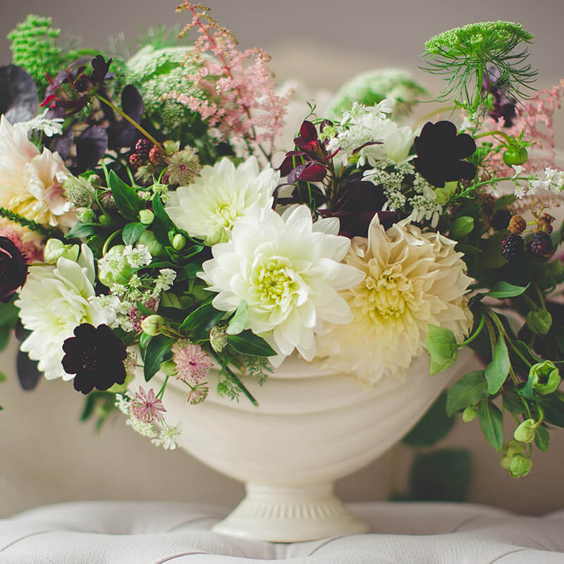 Maison Wilhelm - Événements et Occasions